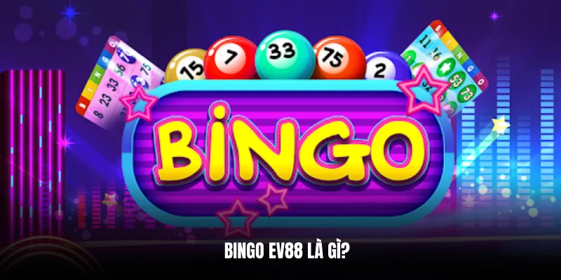 Bingo EV88 là gì?